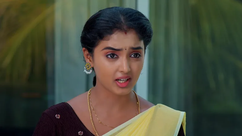Meghasandesam - May 13, 2026 - Episode Spoiler