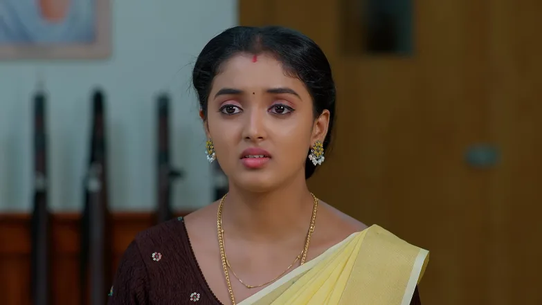 Meghasandesam - May 14, 2026 - Episode Spoiler