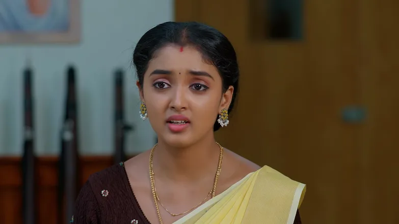 Meghasandesam - May 14, 2026 - Episode Spoiler