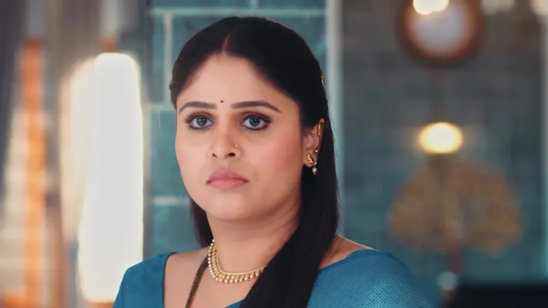 Lakshmi Niwas - May 13, 2026 - Episode Spoiler