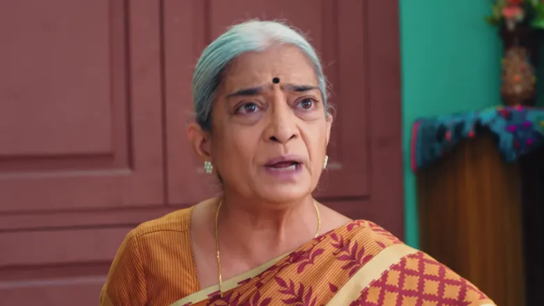 Lakshmi Niwas - May 16, 2026 - Episode Spoiler
