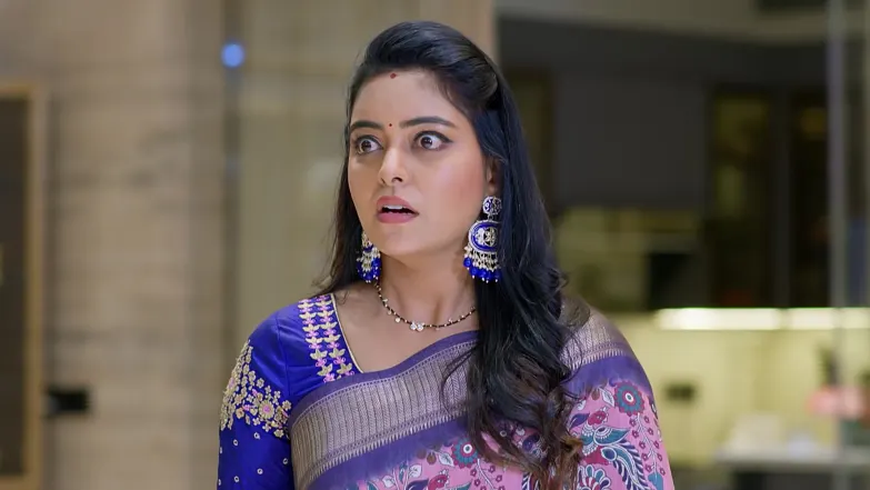 Jagadhatri - May 11, 2026 - Episode Spoiler