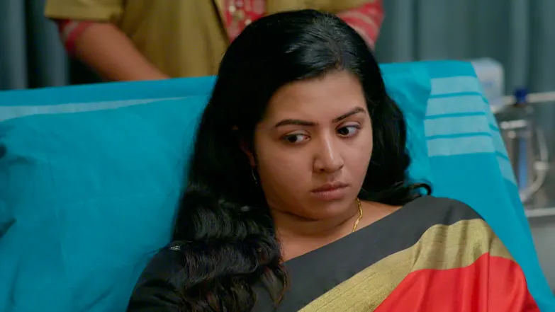 KrishnaGadha - May 12, 2026 - Episode Spoiler