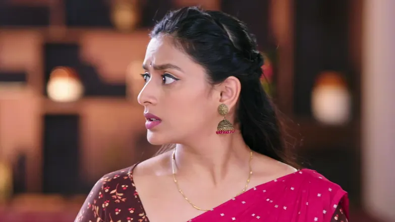 Shravani Subramanya - May 14, 2026 - Episode Spoiler