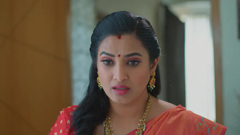 Meghasandesha - May 15, 2026 - Episode Spoiler