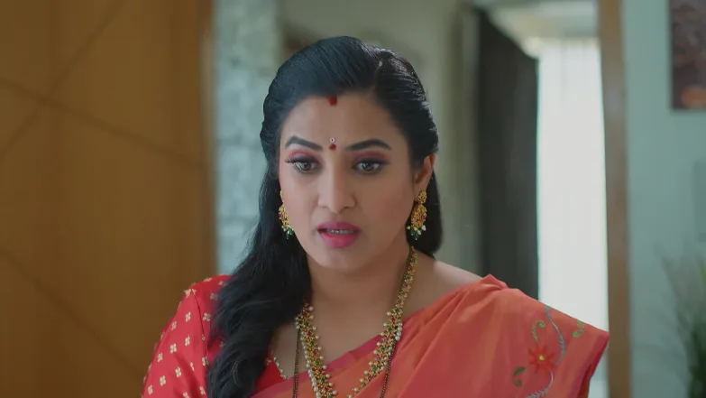 Meghasandesha - May 14, 2026 - Episode Spoiler