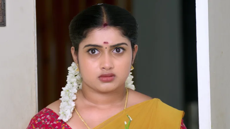 Thirumangalyam - May 13, 2026 - Episode Spoiler