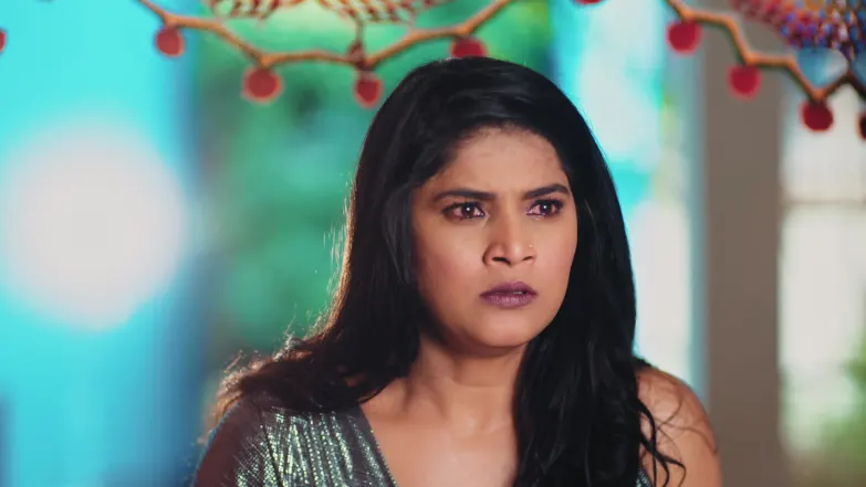 Lakshmi Niwas - May 24, 2026 - Episode Spoiler