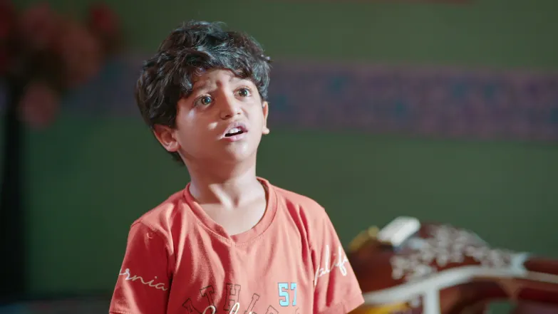 Savalyachi Janu Savali - May 22, 2026 - Episode Spoiler