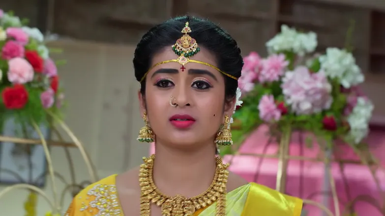 Mithra Despises Bhagyalakshmi Episode 395