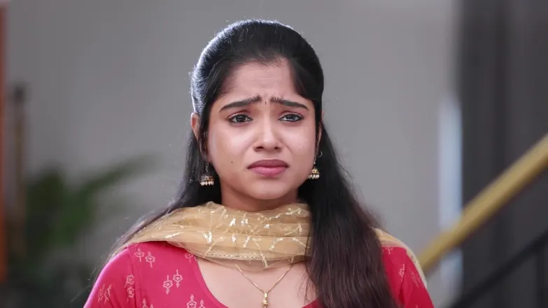Jaya Prepares a Feast for Ravi’s Family Episode 140
