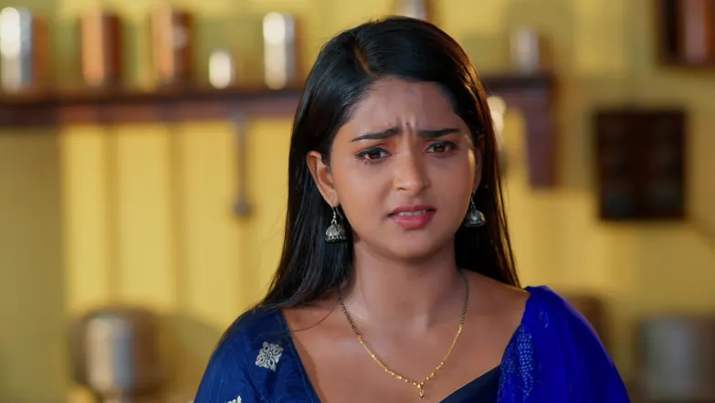 Lakshmi Nivasam - May 23, 2026 - Episode Spoiler