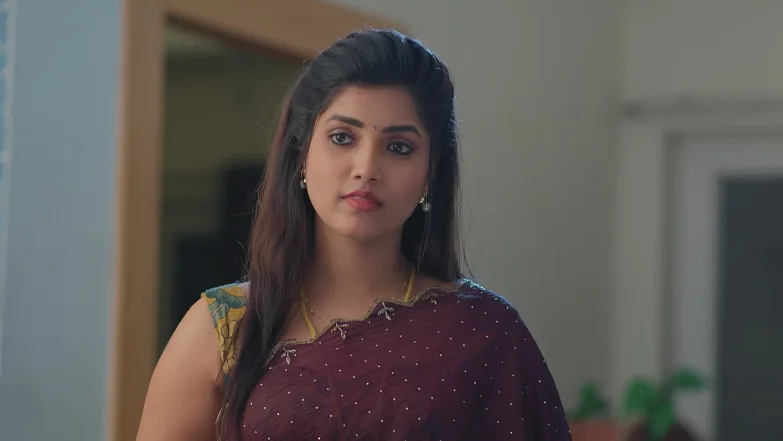 Meghasandesha - May 19, 2026 - Episode Spoiler
