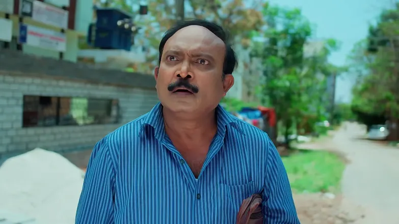 Sumangali - May 24, 2026 - Episode Spoiler