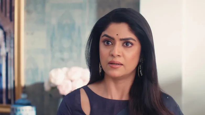 Jagadhatri - May 21, 2026 - Webisode 21st May 2026 Webisode