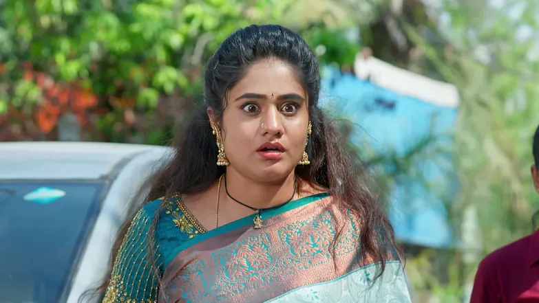 Jagadhatri - May 19, 2026 - Episode Spoiler