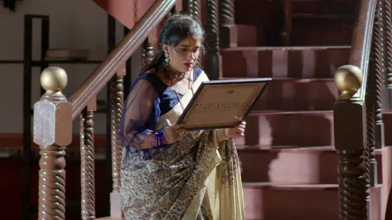Brahmagantu - May 21, 2026 - Episode Spoiler