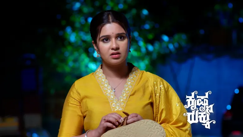 Krishna Stages Rukku's Kidnapping Episode 56