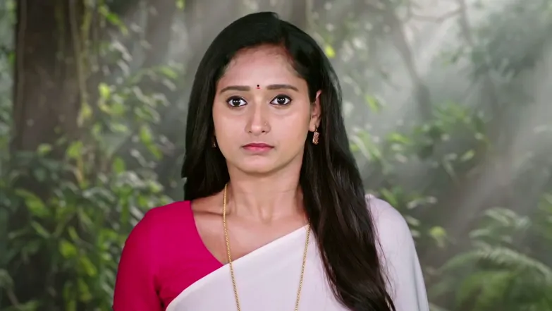 Ambika and Durga Find the Temple Episode 358