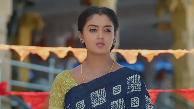Meghasandesha - May 29, 2026 - Episode Spoiler