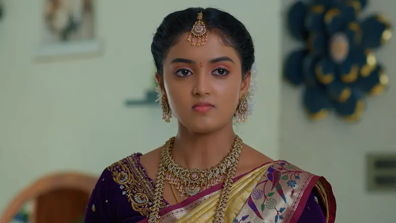 Meghasandesha - May 27, 2026 - Episode Spoiler