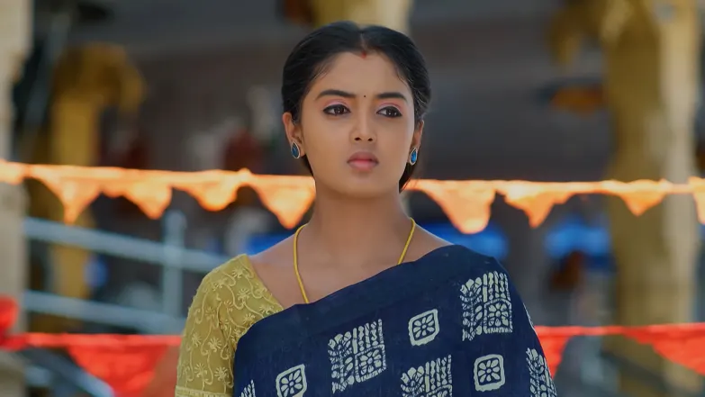 Meghasandesha - May 30, 2026 - Episode Spoiler