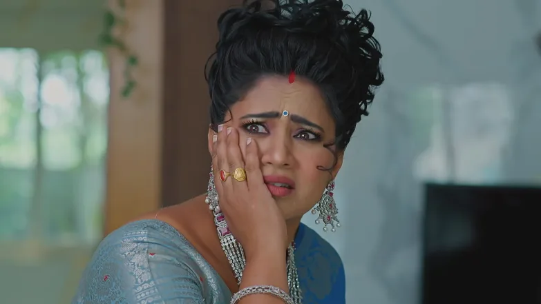Meghasandesha - May 27, 2026 - Episode Spoiler
