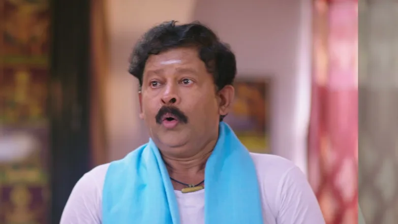 Shravani Subramanya - May 29, 2026 - Episode Spoiler