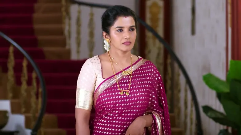 Krishna Rukku - May 28, 2026 - Best Scene 