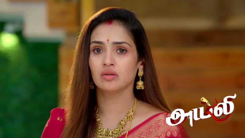 Ayali - May 30, 2026 Episode 308