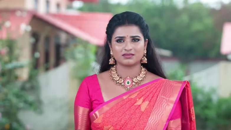 Karthigai Deepam - May 29, 2026 - Episode Spoiler