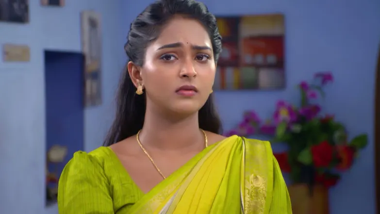 Sandhya Raagam - May 29, 2026 - Episode Spoiler