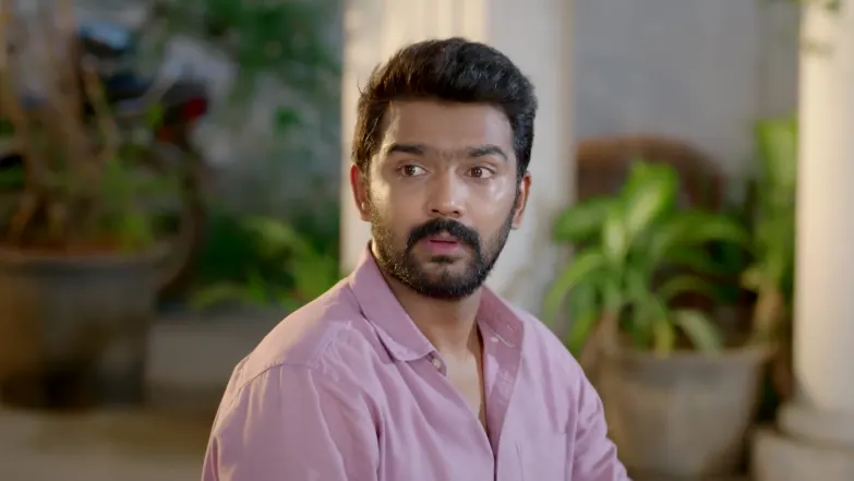Ayali - May 25, 2026 - Best Scene 