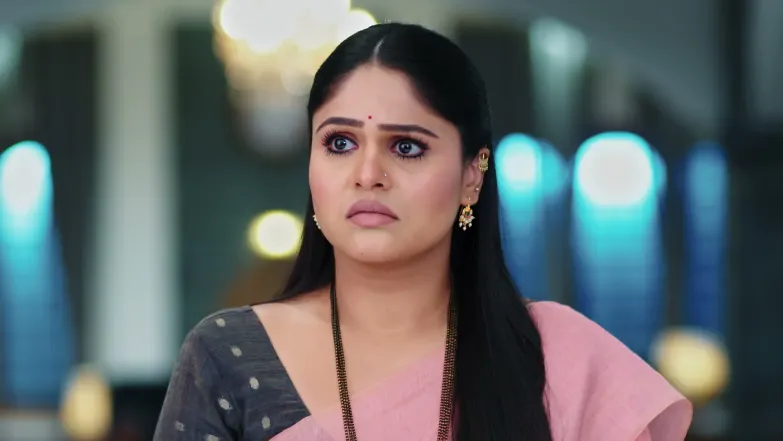 Lakshmi Niwas - May 29, 2026 - Episode Spoiler