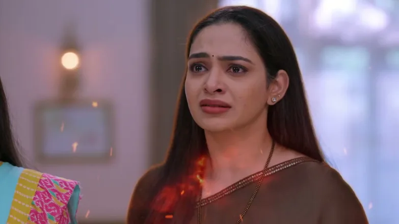 Tula Japnar Aahe - May 29, 2026 - Webisode 29th May 2026 Webisode