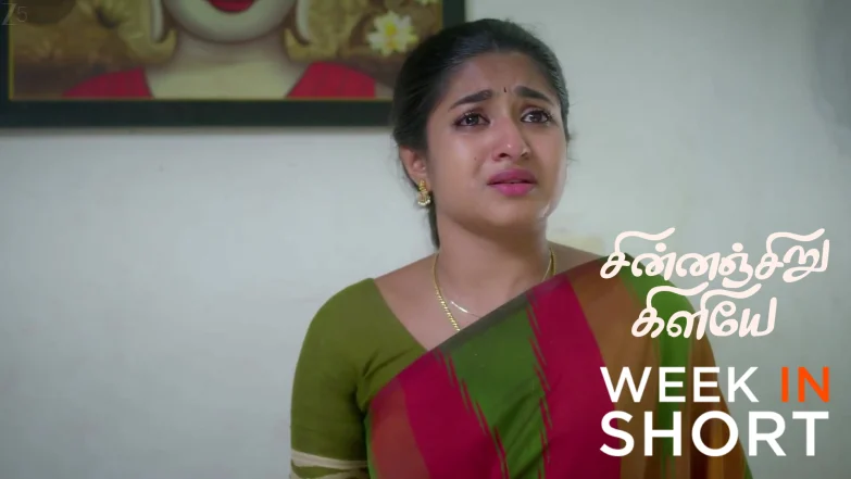 Chinnan Siru Kiliye | May 18 - May 22, 2026 23rd May 2026 Webisode