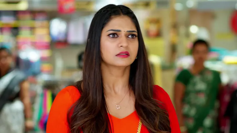 Nindu Noorella Saavasam - May 29, 2026 - Episode Spoiler