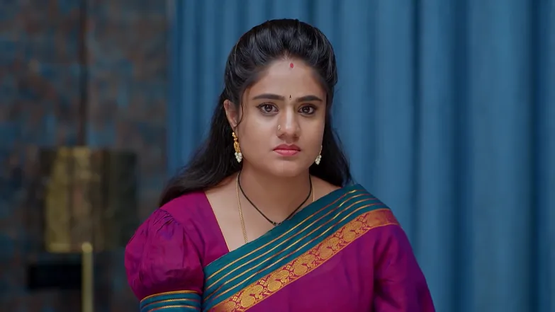 Jagadhatri - May 25, 2026 - Webisode 25th May 2026 Webisode