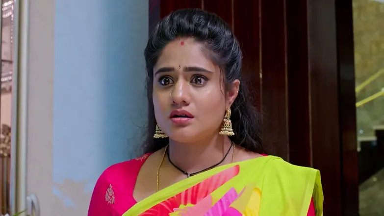 Jagadhatri - May 28, 2026 - Webisode 28th May 2026 Webisode
