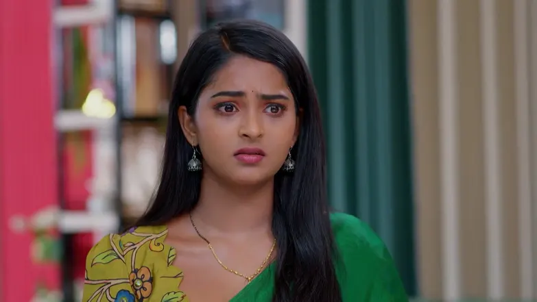 Lakshmi Nivasam - May 27, 2026 - Webisode 27th May 2026 Webisode