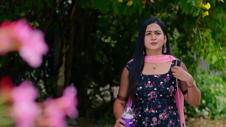Chi Sou Mahalakshmi - May 29, 2026 - Episode Spoiler