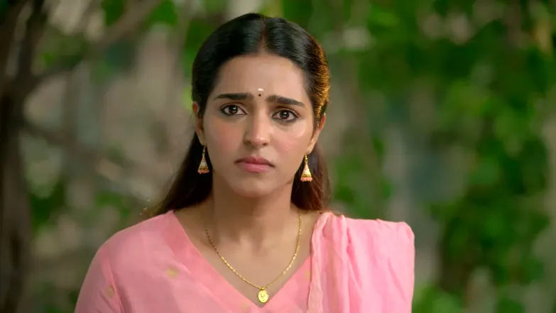 Jeeva Worries About Meenakshi Episode 115