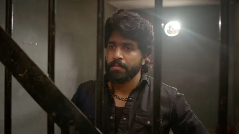 Chinnan Siru Kiliye - June 03, 2026 - Episode Spoiler