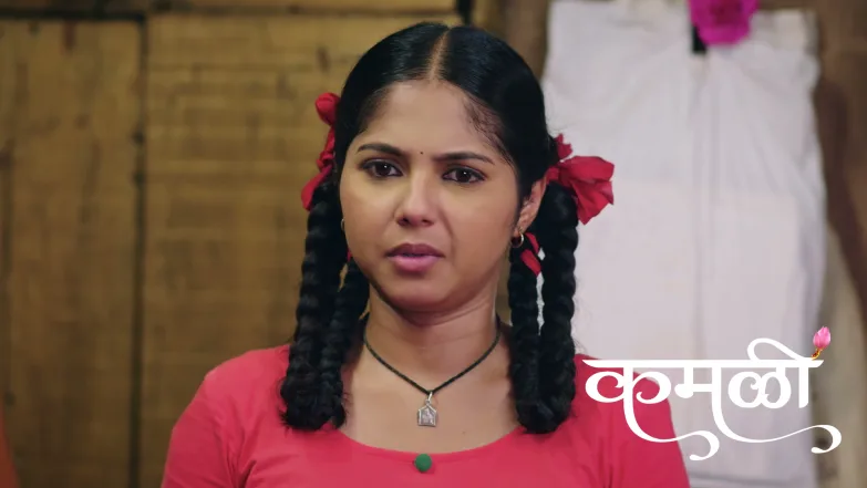 Hrishi Learns that Sadhana Is Kamali's Mother Episode 338