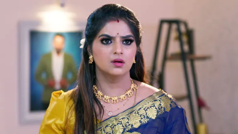 Paarijatham - June 17, 2026 - Episode Spoiler