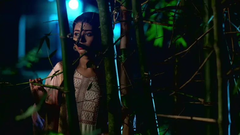 Saat Pake Bandha - June 17, 2026 - Episode Spoiler