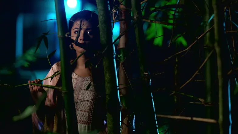 Saat Pake Bandha - June 17, 2026 - Episode Spoiler