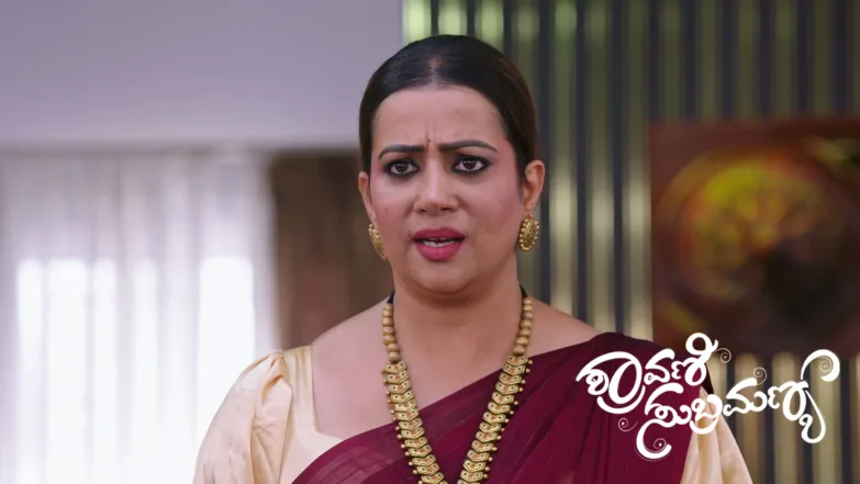 Shravani Yearns for Subbu Episode 608