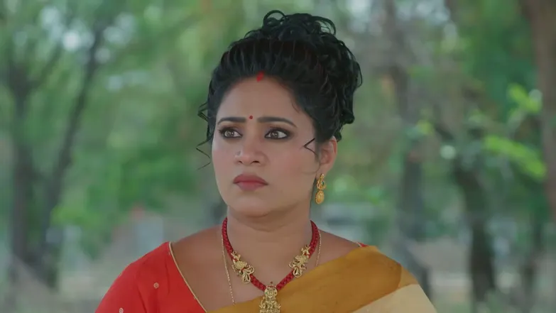 Meghasandesha - June 22, 2026 - Episode Spoiler