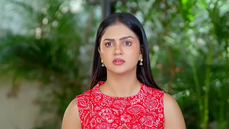 Dheerga Sumangali Bhava - June 17, 2026 - Episode Spoiler